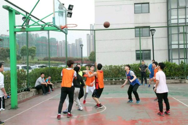 更名为“中国篮球发展联赛”（简称“CBDL”）